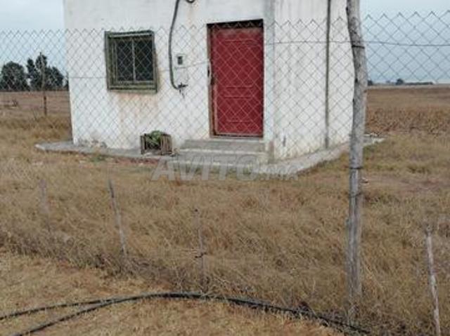 Propriété vente à Berrechid, Gharb-Chrarda-Beni Hssen