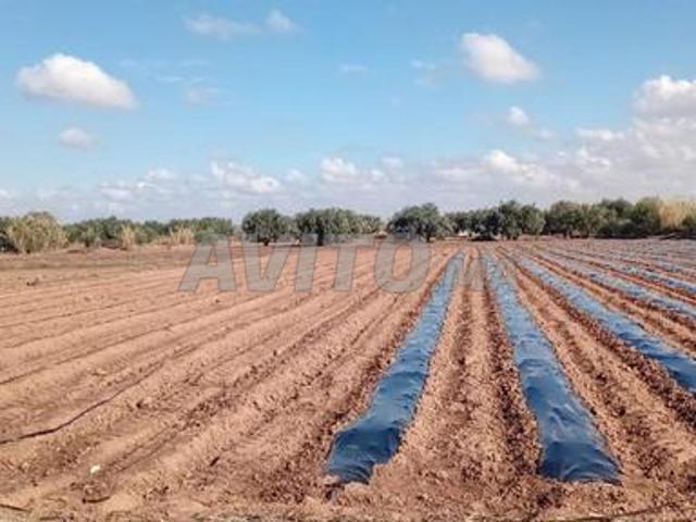 Propriété vente à Ouarzazate