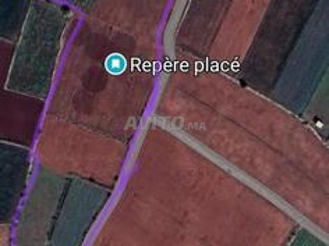 Propriété vente à El Ma, Gharb-Chrarda-Beni Hssen