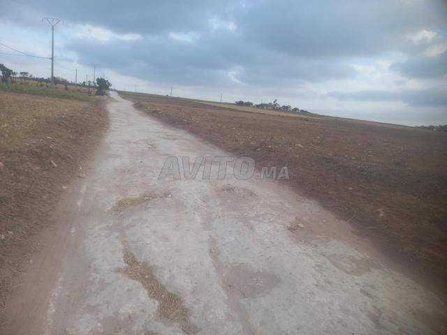 Propriété vente à El Ma, Gharb-Chrarda-Beni Hssen