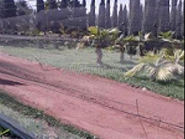 Propriété vente à El Ma, Gharb-Chrarda-Beni Hssen