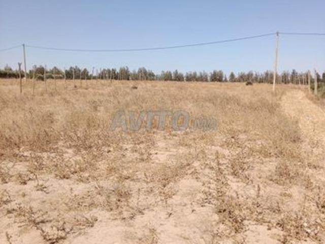 Propriété vente à Slimane, Gharb-Chrarda-Beni Hssen