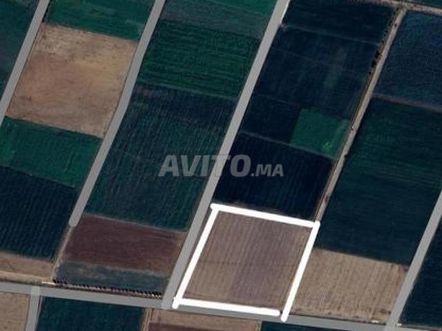 Propriété vente à Sidi Bennour, Gharb-Chrarda-Beni Hssen