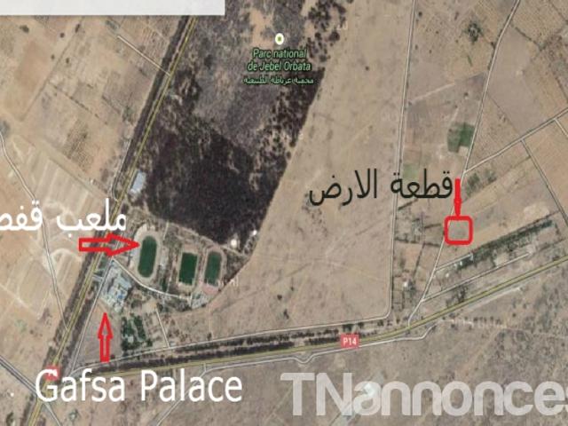 Terrain location