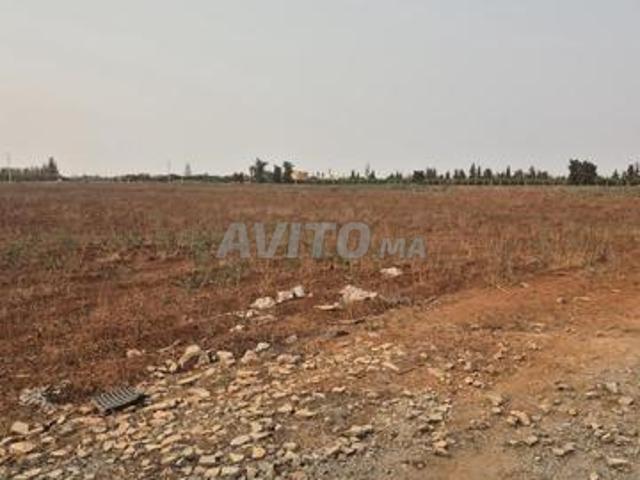 Propriété vente à Berkane