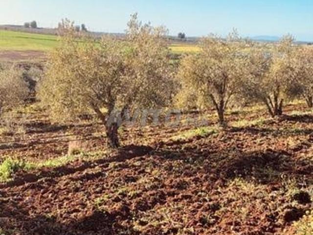 Propriété vente à Meknès