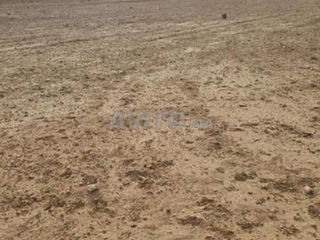 Propriété vente à Chichaoua, L'Oriental