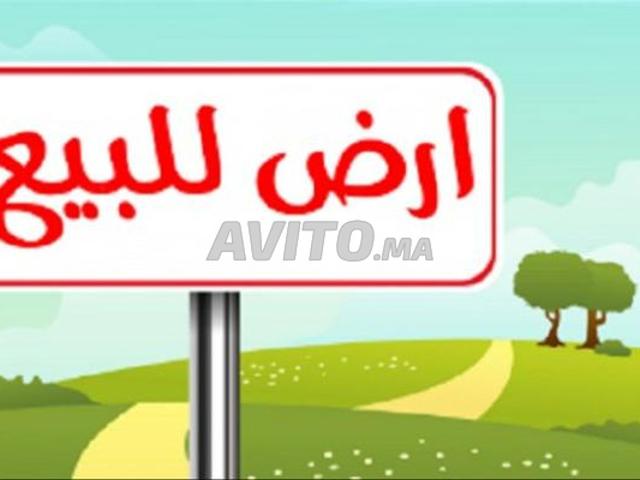 Propriété vente à Youssoufia, L'Oriental