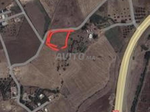 Propriété vente à Taounate