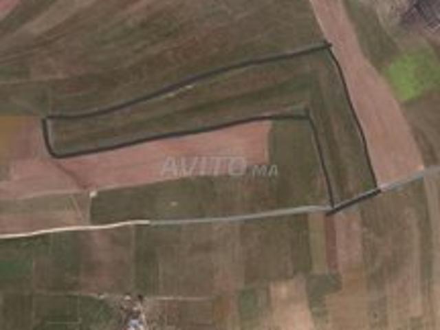 Propriété vente à Ben Ahmed, Gharb-Chrarda-Beni Hssen