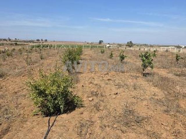Propriété vente à Anfa, Gharb-Chrarda-Beni Hssen