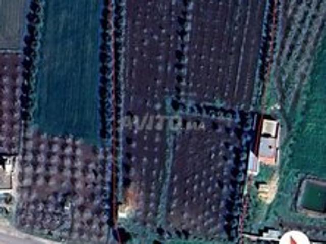 Propriété vente à Settat, Gharb-Chrarda-Beni Hssen