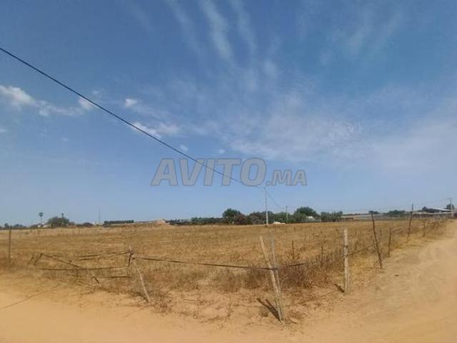 Propriété vente à Khémisset ⵅⴻⵎⵉⵙⵙⴻⵜ الخميسات, Province de Khémisset إقليم الخميسات