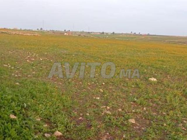 Propriété vente à El Ma, Gharb-Chrarda-Beni Hssen