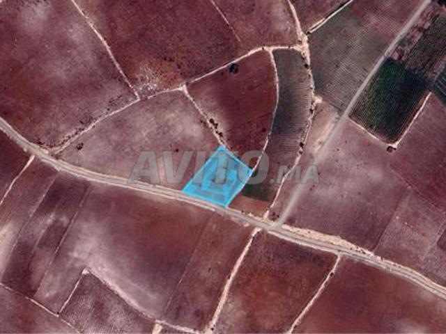 Propriété vente à El Ma, Gharb-Chrarda-Beni Hssen