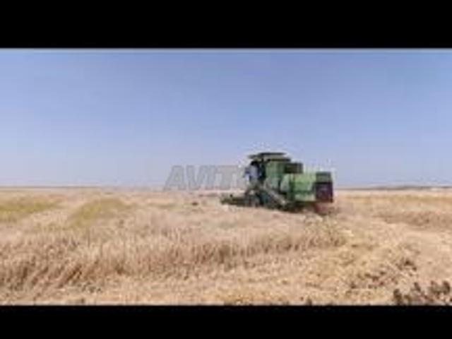 Propriété vente à Saf, L'Oriental