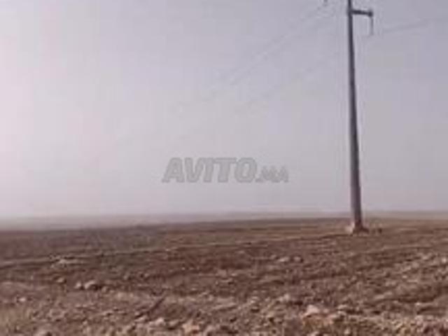 Propriété vente à Echemmaia الشماعية, Province de Youssoufia إقليم اليوسفية