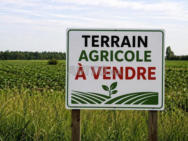 Propriété vente à Lyautey