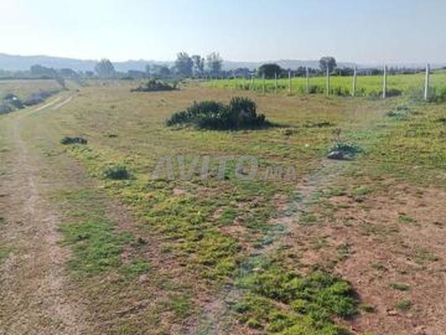 Propriété vente à El Ma, Gharb-Chrarda-Beni Hssen