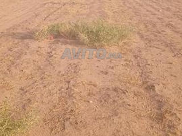 Propriété vente à Chichaoua, L'Oriental