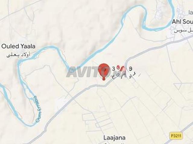 Propriété vente à Mellal