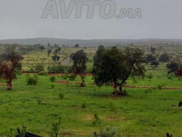 Propriété vente à Azilal