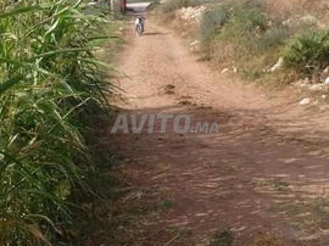 Propriété vente à El Ma, Gharb-Chrarda-Beni Hssen