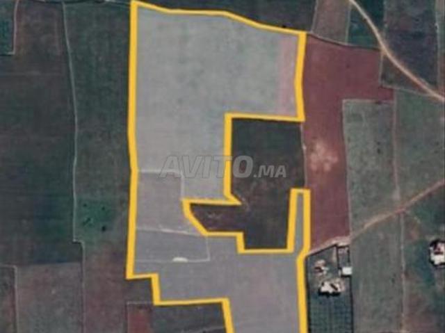 Propriété vente à El Ma, Gharb-Chrarda-Beni Hssen