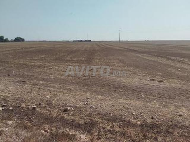 Propriété vente à Berrechid, Gharb-Chrarda-Beni Hssen