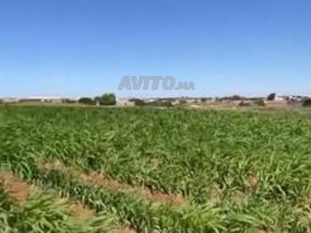 Propriété vente à El Ma, Gharb-Chrarda-Beni Hssen