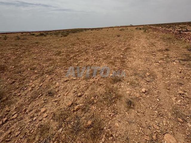 Propriété vente à Tiznit, Oued ed Dahab-Lagouira