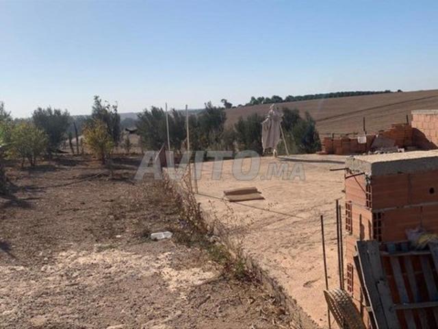 Propriété vente à Settat, Chaouia-Ouardigha