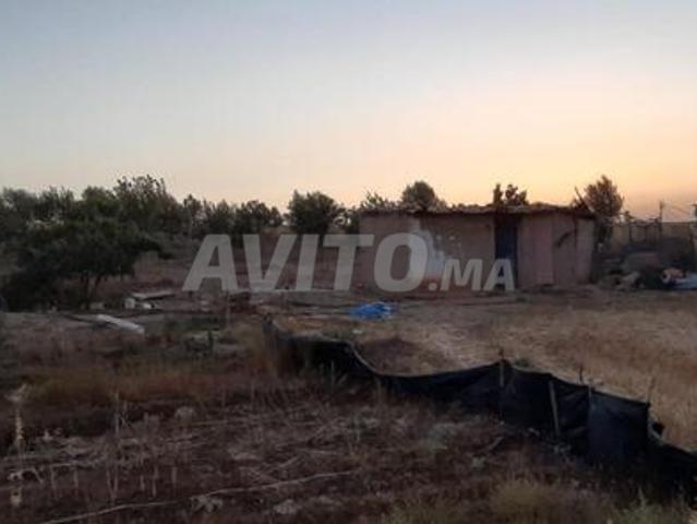 Propriété vente à Ben Ahmed, Gharb-Chrarda-Beni Hssen