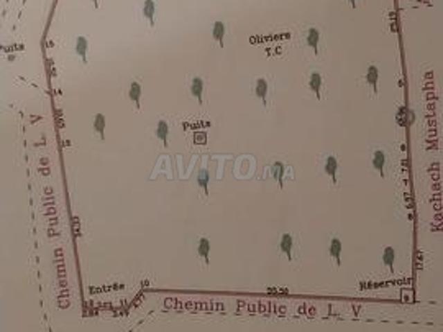 Propriété vente à Essaouira, L'Oriental