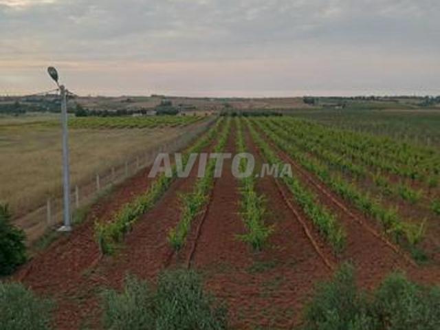 Propriété vente à Khémisset