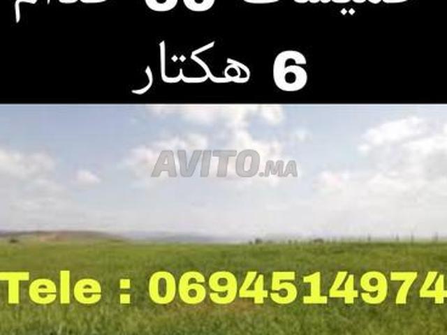 Propriété vente à Khémisset