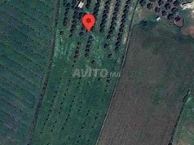Propriété vente à Khémisset
