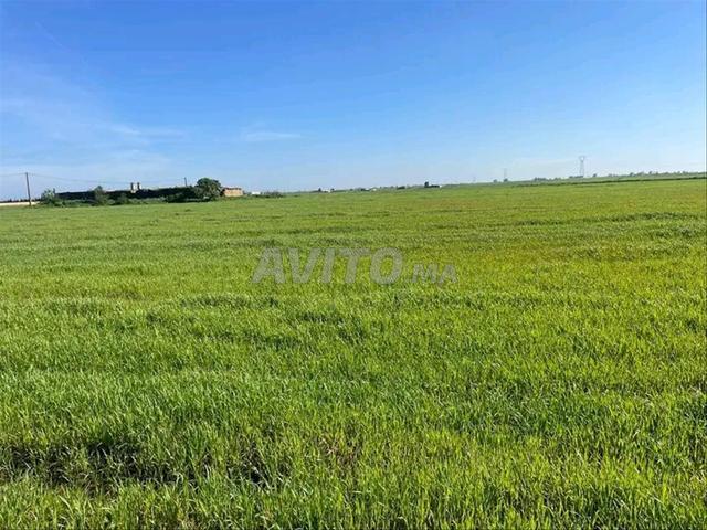 Propriété vente à Anfa, Gharb-Chrarda-Beni Hssen