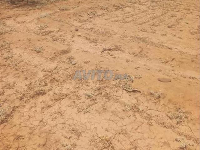 Propriété vente à Chichaoua, L'Oriental