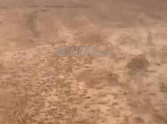 Propriété vente à Ben Guerir, L'Oriental