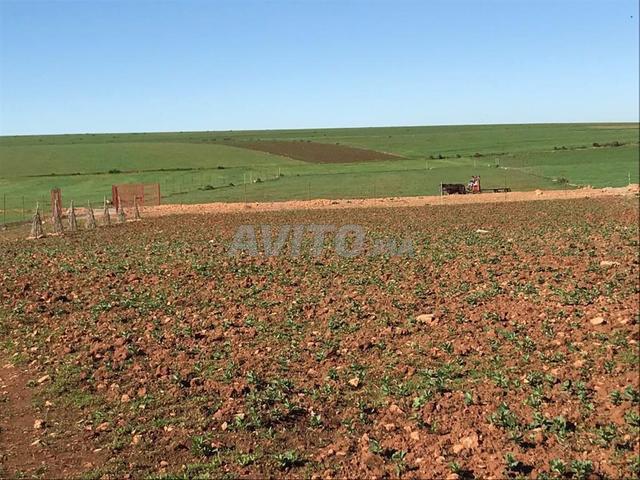 Propriété vente à Berrechid, Gharb-Chrarda-Beni Hssen