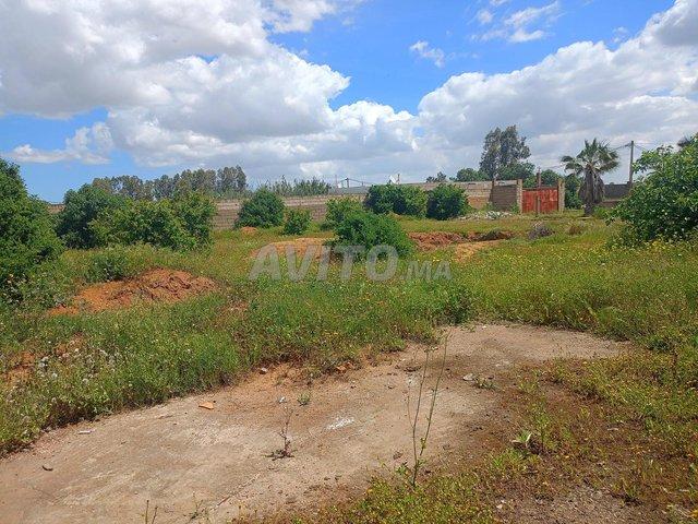 Propriété vente à El Ma, Gharb-Chrarda-Beni Hssen