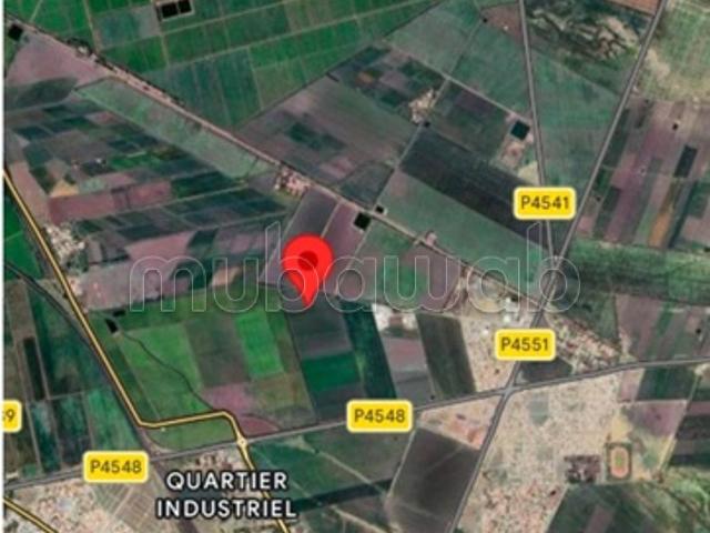 Terrain vente à Sidi Qacem