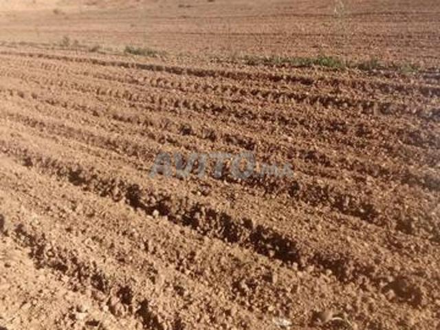 Propriété vente à Ben Slimane