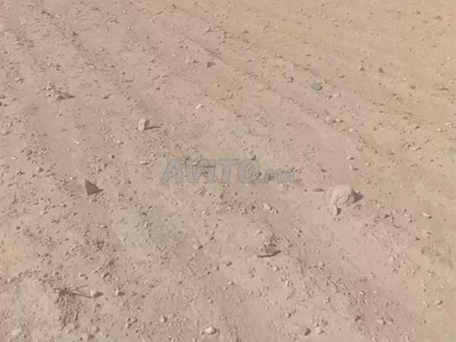 Propriété vente à Chichaoua, L'Oriental