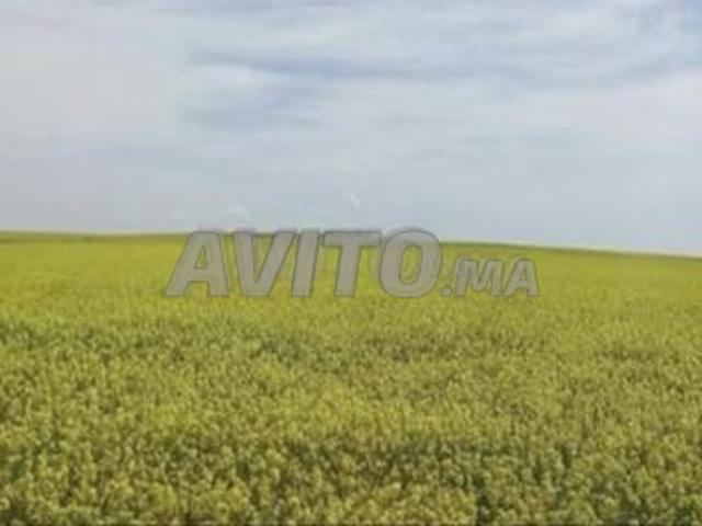 Propriété vente à Settat, Gharb-Chrarda-Beni Hssen