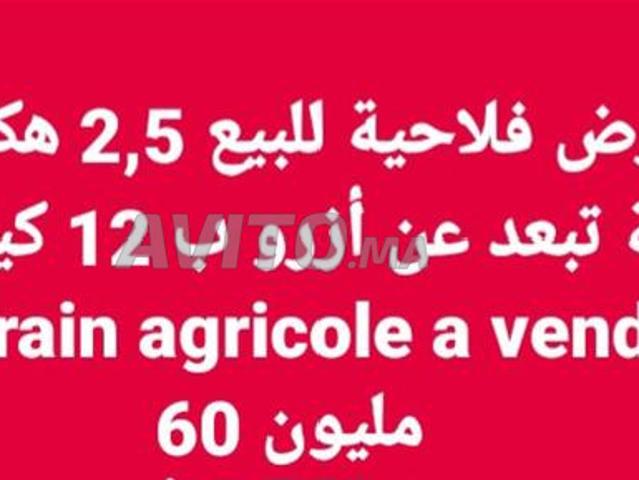 Propriété vente à Azrou