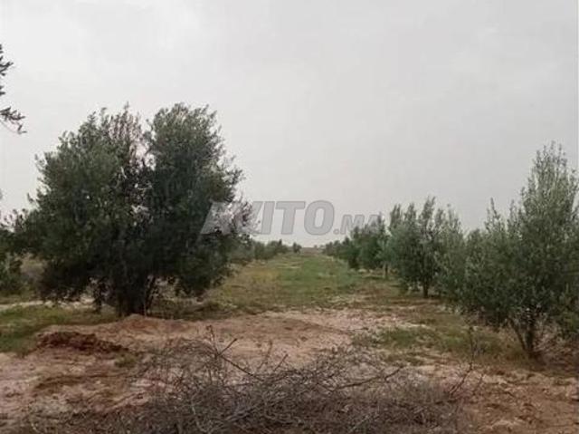 Propriété vente à Chichaoua, L'Oriental