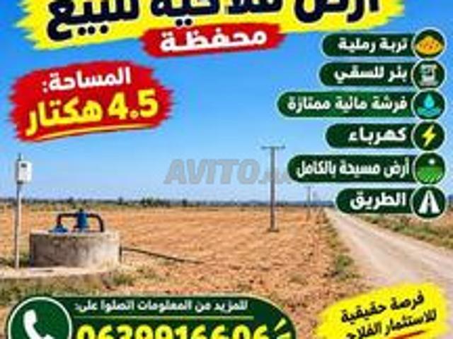 Propriété vente à Larache العرائش, Province de Larache إقليم العرائش