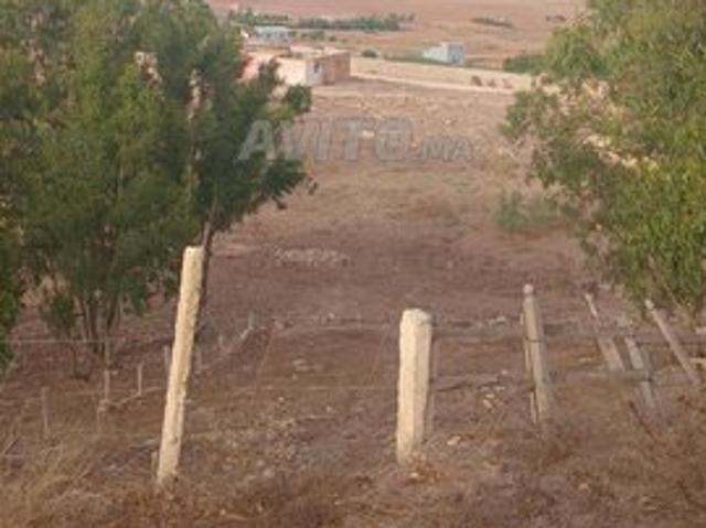 Propriété vente à El Ma, Gharb-Chrarda-Beni Hssen
